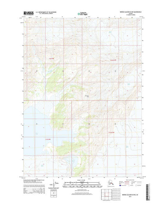 Bering Glacier B-8 NE Alaska US Topo Map Image