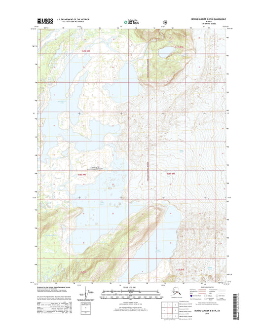 Bering Glacier B-8 SW Alaska US Topo Map Image