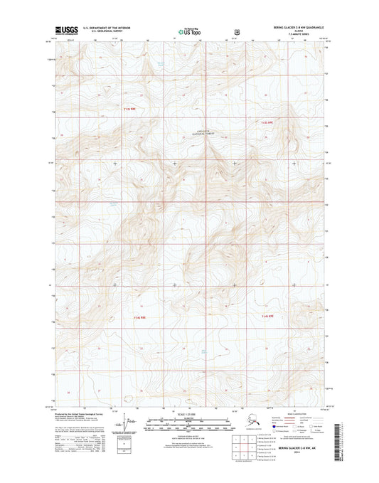Bering Glacier C-8 NW Alaska US Topo Map Image