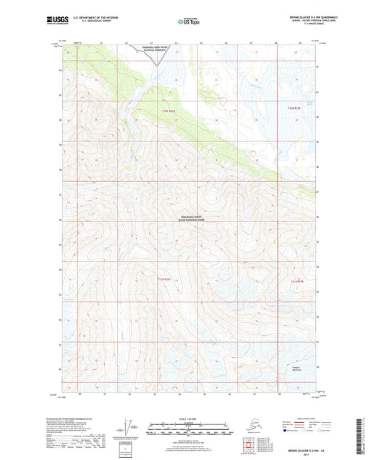 Bering Glacier D-2 NW Alaska US Topo Map Image