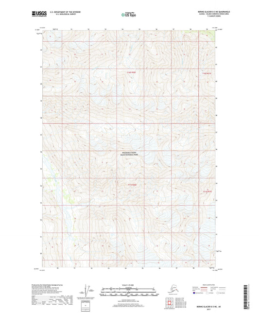 Bering Glacier D-3 NE Alaska US Topo Map Image