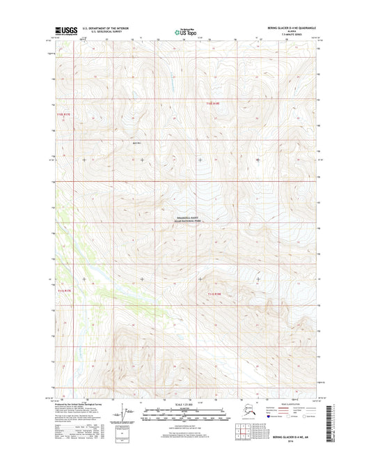 Bering Glacier D-4 NE Alaska US Topo Map Image