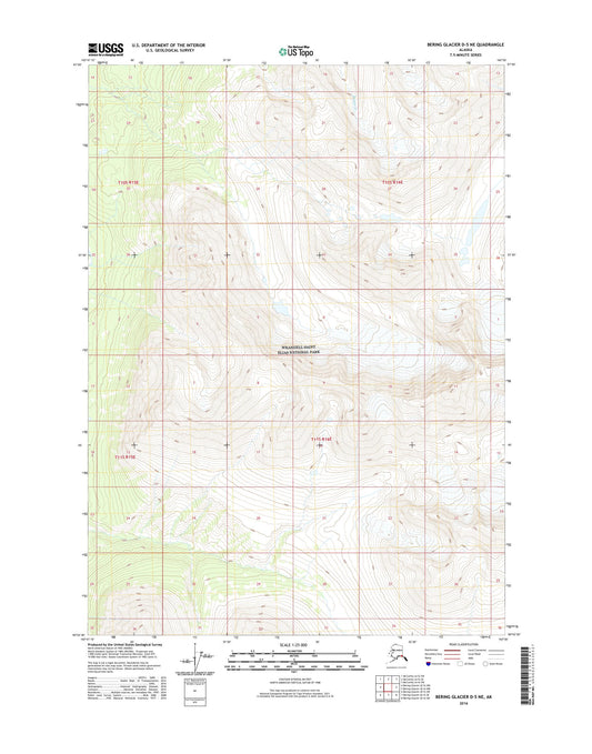 Bering Glacier D-5 NE Alaska US Topo Map Image
