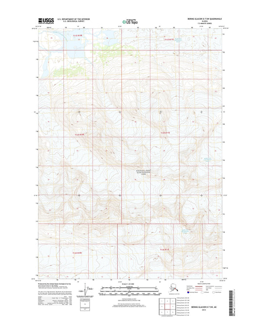 Bering Glacier D-7 SW Alaska US Topo Map Image