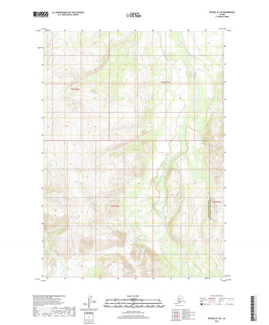 Bethel D-1 SE Alaska US Topo Map Image
