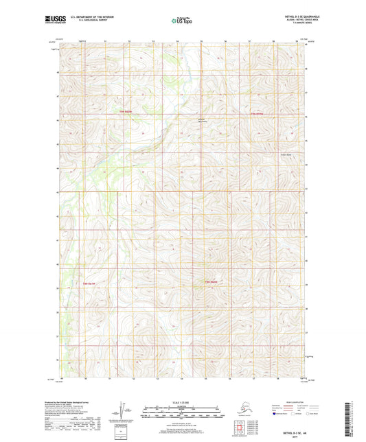 Bethel D-3 SE Alaska US Topo Map Image
