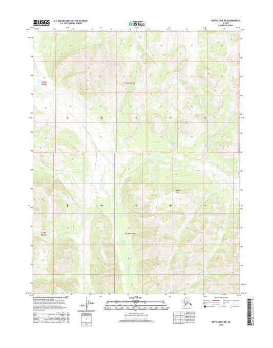 Bettles D-6 NE Alaska US Topo Map Image