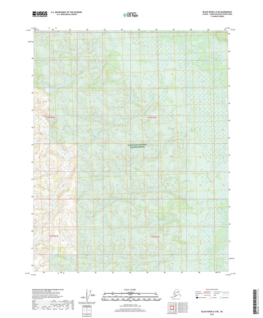Black River A-5 NE Alaska US Topo Map Image
