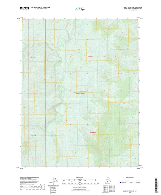Black River C-3 NE Alaska US Topo Map Image