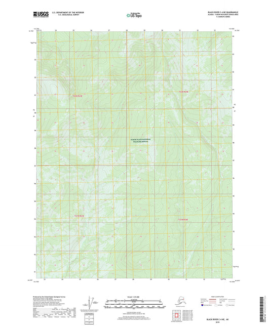 Black River C-4 NE Alaska US Topo Map Image