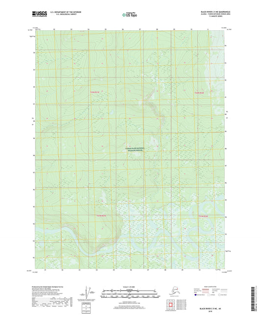 Black River C-5 NE Alaska US Topo Map Image