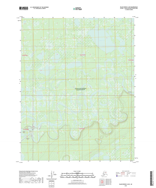 Black River C-6 NE Alaska US Topo Map Image