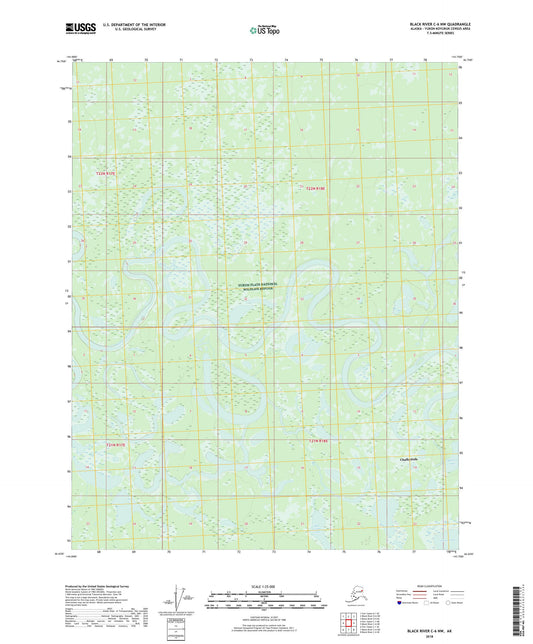 Black River C-6 NW Alaska US Topo Map Image