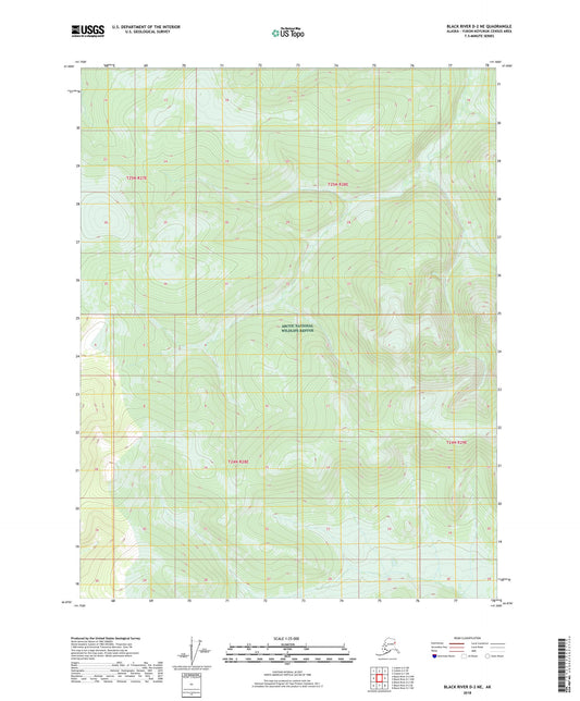 Black River D-2 NE Alaska US Topo Map Image