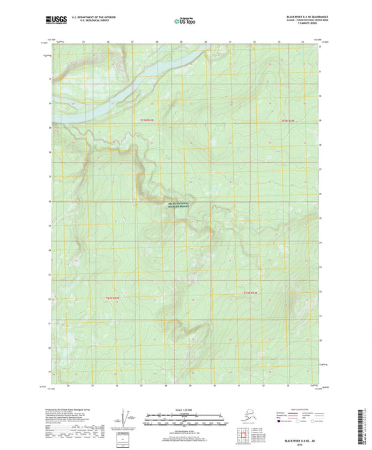 Black River D-4 NE Alaska US Topo Map Image