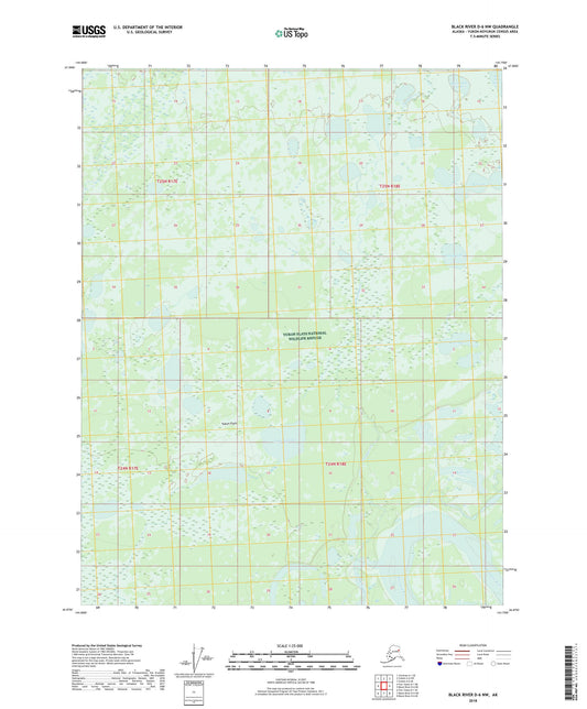 Black River D-6 NW Alaska US Topo Map Image