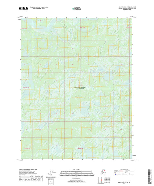 Black River D-6 SE Alaska US Topo Map Image