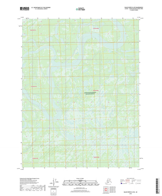 Black River D-6 SW Alaska US Topo Map Image