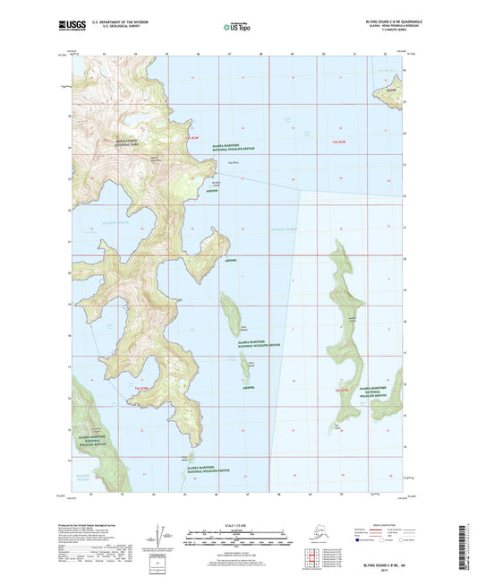 Blying Sound C-8 NE Alaska US Topo Map Image