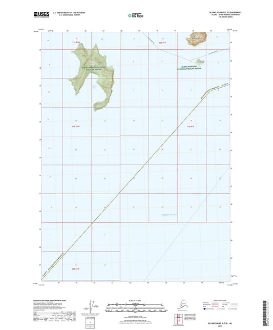 Blying Sound D-7 SE Alaska US Topo Map Image