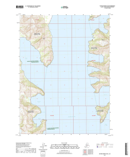 Blying Sound D-8 SE Alaska US Topo Map Image