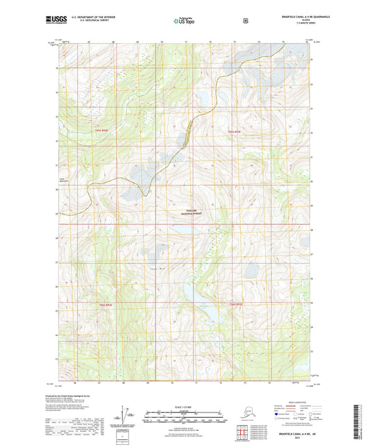 Bradfield Canal A-4 NE Alaska US Topo Map Image