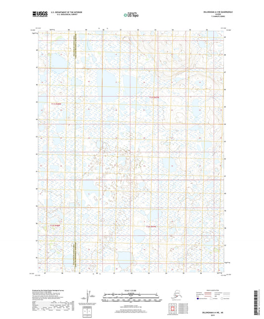 Dillingham A-4 NE Alaska US Topo Map Image