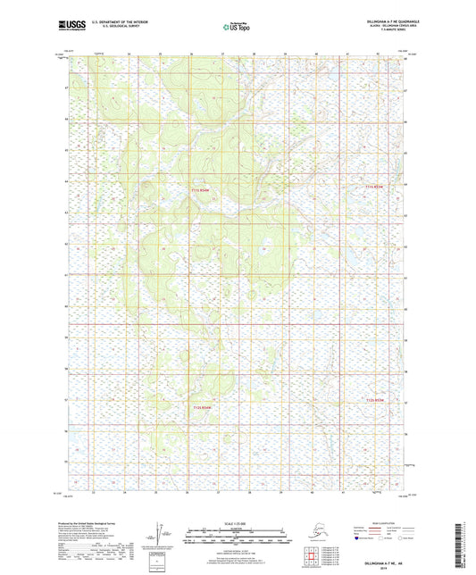 Dillingham A-7 NE Alaska US Topo Map Image