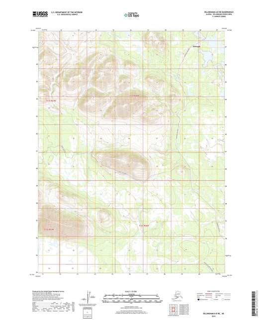 Dillingham A-8 NE Alaska US Topo Map Image