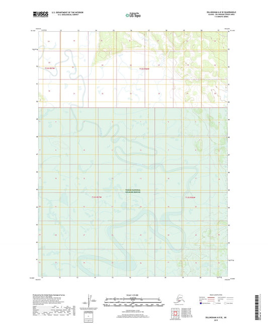 Dillingham A-8 SE Alaska US Topo Map Image