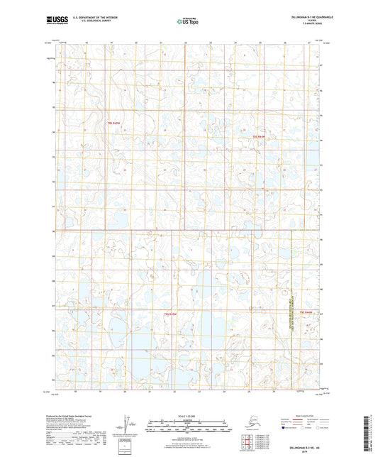 Dillingham B-3 NE Alaska US Topo Map Image