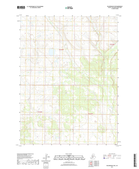 Dillingham B-5 NE Alaska US Topo Map Image