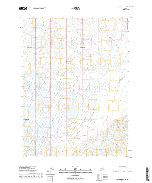 Dillingham C-1 NE Alaska US Topo Map Image