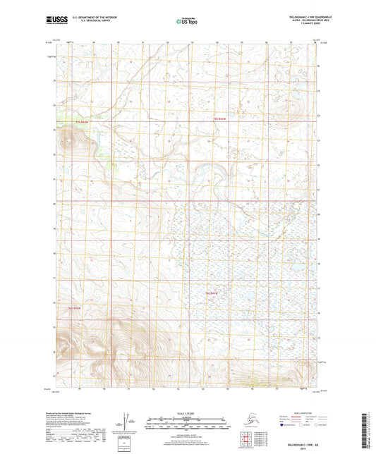 Dillingham C-1 NW Alaska US Topo Map Image