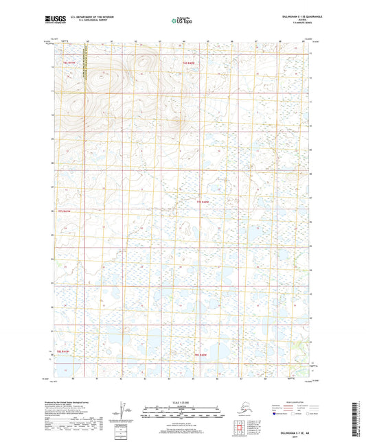Dillingham C-1 SE Alaska US Topo Map Image