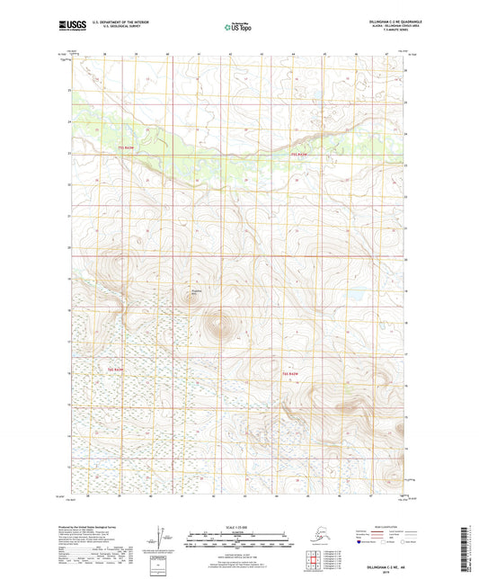 Dillingham C-2 NE Alaska US Topo Map Image
