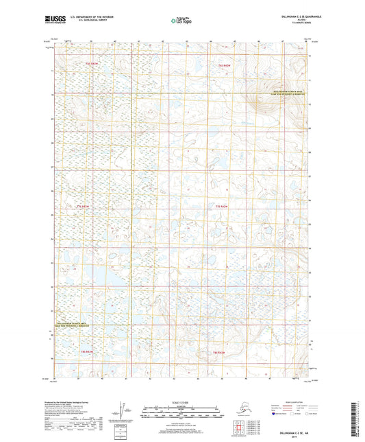 Dillingham C-2 SE Alaska US Topo Map Image