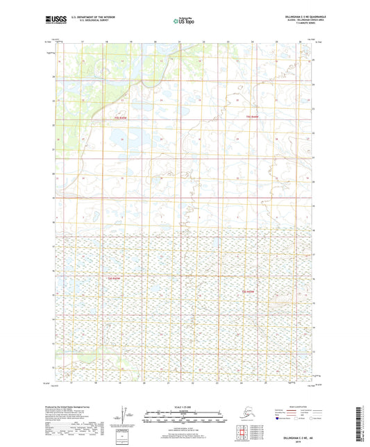 Dillingham C-3 NE Alaska US Topo Map Image
