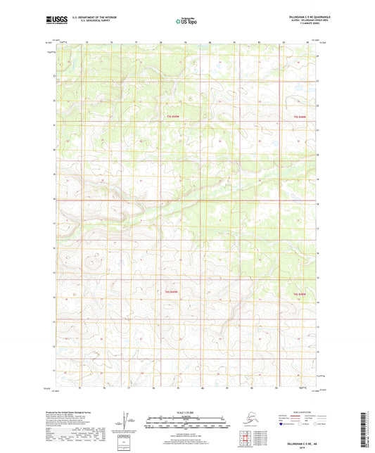 Dillingham C-5 NE Alaska US Topo Map Image