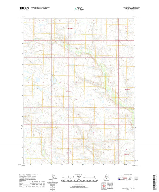 Dillingham C-5 SE Alaska US Topo Map Image