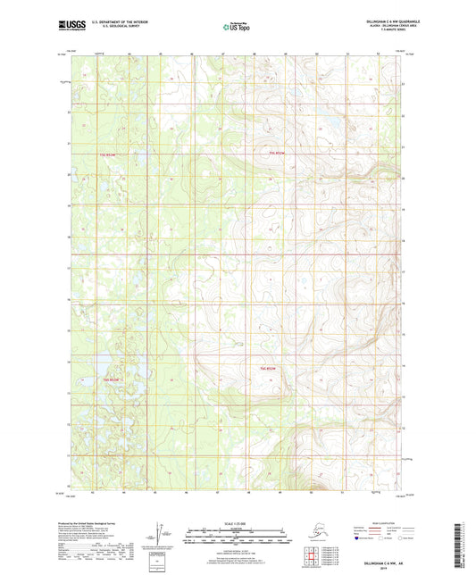 Dillingham C-6 NW Alaska US Topo Map Image