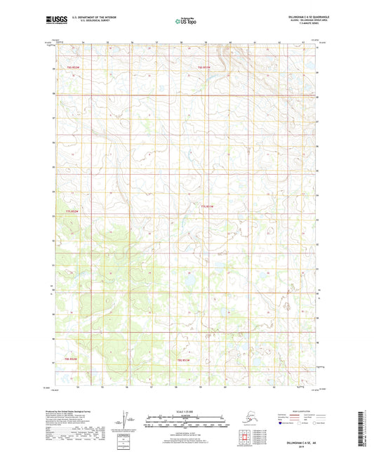 Dillingham C-6 SE Alaska US Topo Map Image