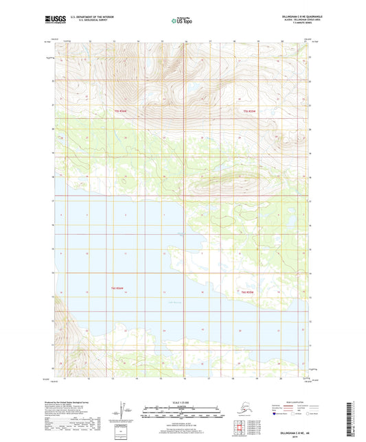 Dillingham C-8 NE Alaska US Topo Map Image