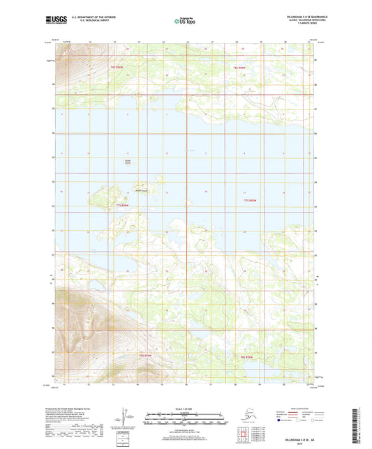Dillingham C-8 SE Alaska US Topo Map Image