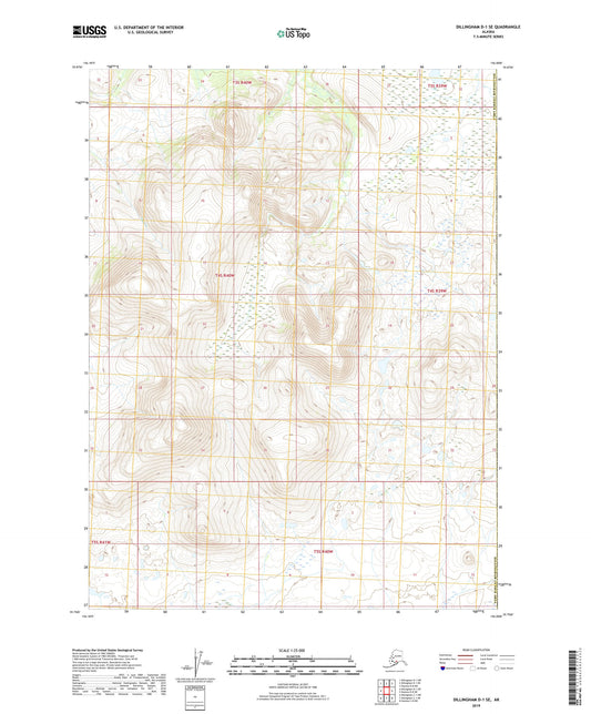 Dillingham D-1 SE Alaska US Topo Map Image
