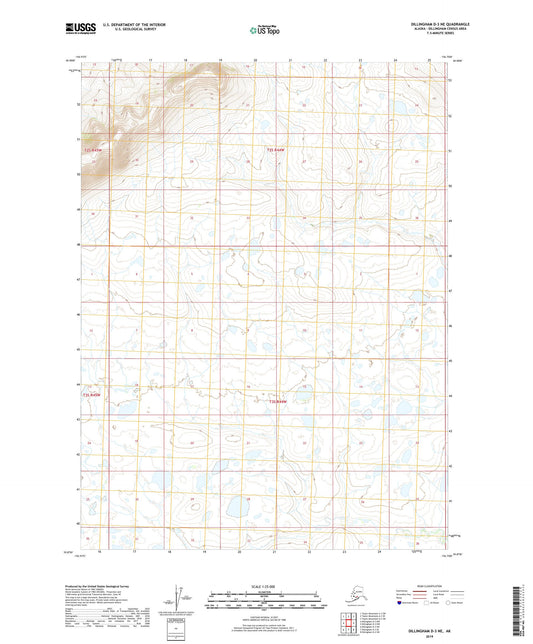 Dillingham D-3 NE Alaska US Topo Map Image