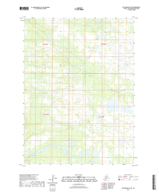 Dillingham D-5 NE Alaska US Topo Map Image