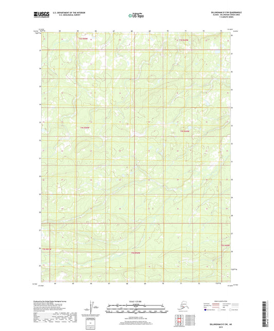 Dillingham D-5 SW Alaska US Topo Map Image