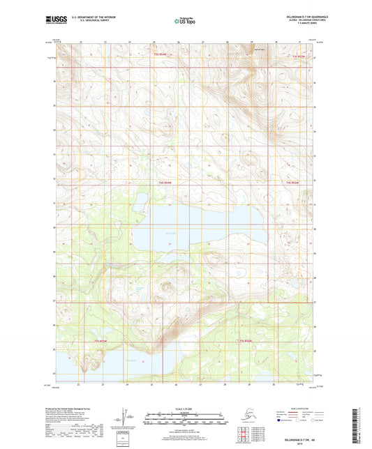Dillingham D-7 SW Alaska US Topo Map Image