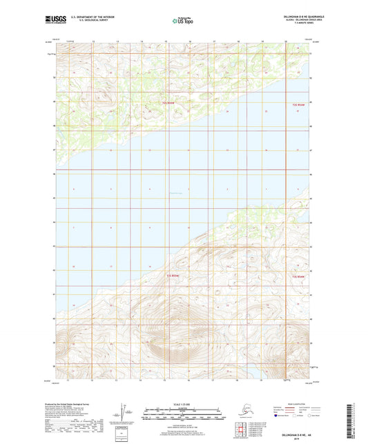 Dillingham D-8 NE Alaska US Topo Map Image